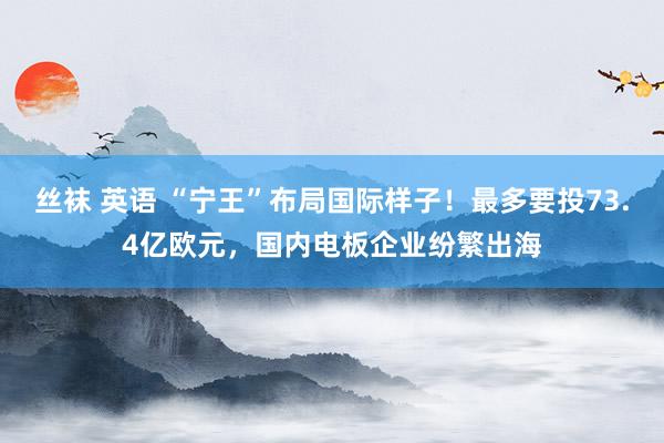 丝袜 英语 “宁王”布局国际样子！最多要投73.4亿欧元，国内电板企业纷繁出海