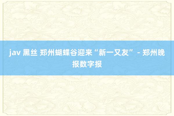 jav 黑丝 郑州蝴蝶谷迎来“新一又友”－郑州晚报数字报