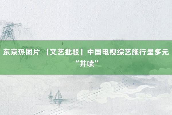 东京热图片 【文艺批驳】中国电视综艺施行呈多元“井喷”