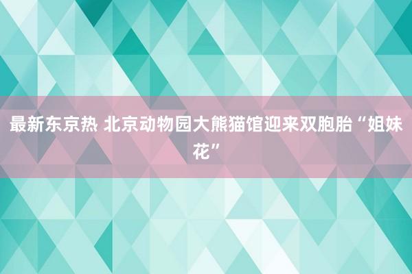 最新东京热 北京动物园大熊猫馆迎来双胞胎“姐妹花”