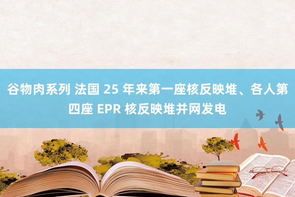 谷物肉系列 法国 25 年来第一座核反映堆、各人第四座 EPR 核反映堆并网发电